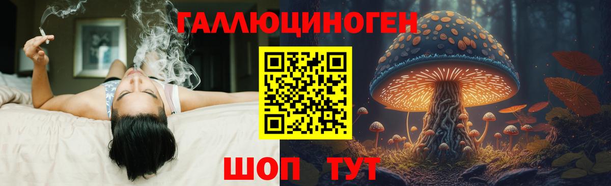 Жигулёвск  Галлюциногенные грибы Psilocybine cubensis  Вход с VPN 